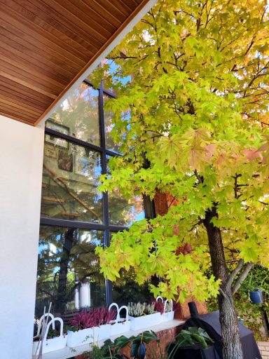 Vivienda unifamiliar en Arroyomolinos